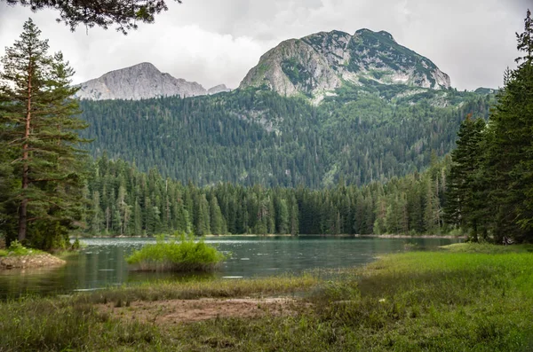 dağ ve orman suya yansıyan