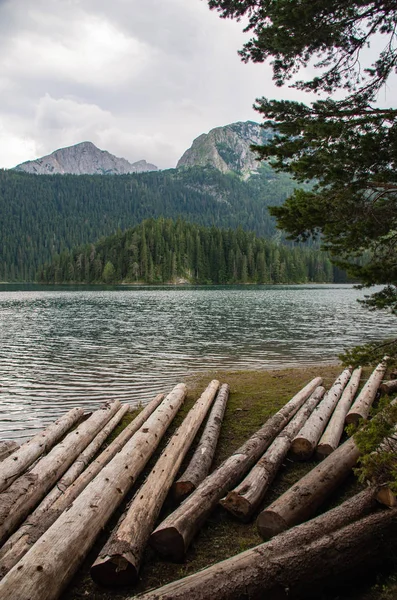 dağ ve orman suya yansıyan
