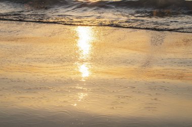 güneş ışığı altında kumlu sahilde dalgalar