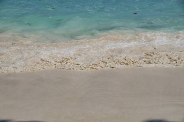 güneş ışığı altında kumlu sahilde dalgalar