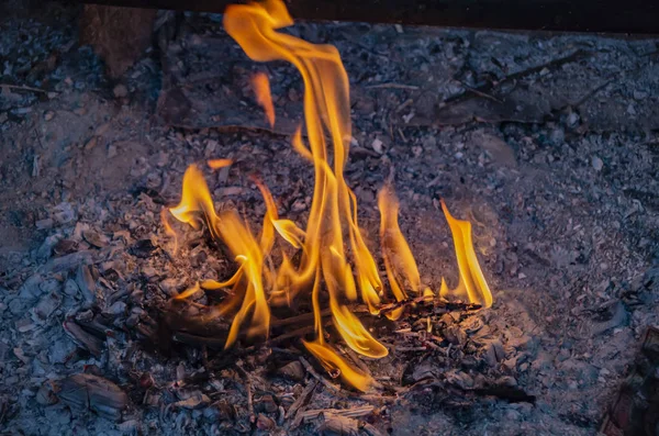 Small Fire Ashes Flamesfire Flame Burn Smolder Coal Bright Light — Stock Photo, Image