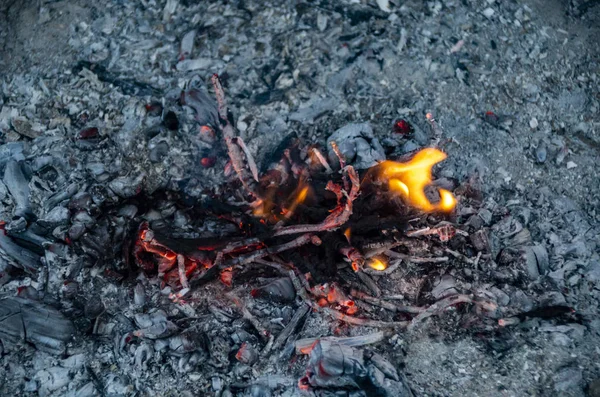 a small fire in the ashes, flamesfire, flame, burn, smolder, coal, bright, light, Shine, burnout, extinction, heat, smoke, ash, orange, yellow, gray, black, small, die, extinguish, heated, firewood, branches,