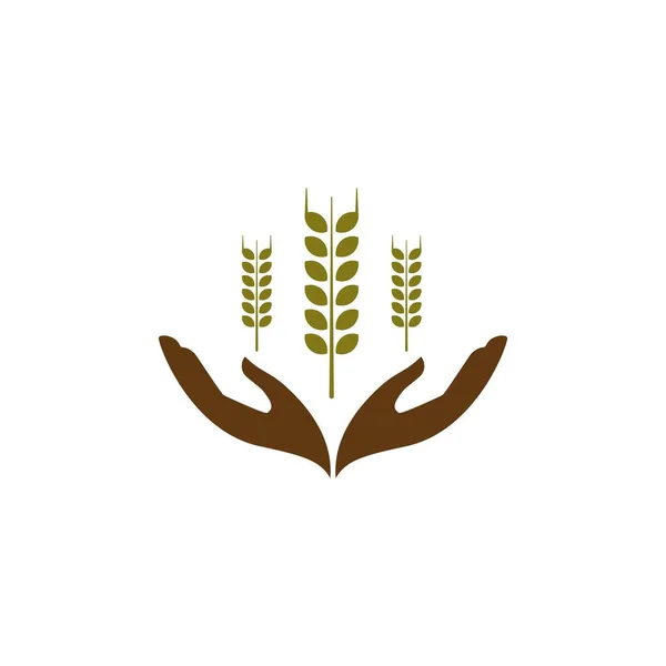 Hand Wheat Vector Design Template Illustration — Stock Vector