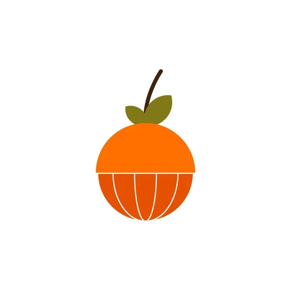 Naranja Fruta Vector Diseño Plantilla Ilustración — Vector de stock