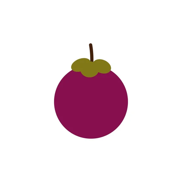Mangostan Frucht Vektor Design Vorlage Illustration — Stockvektor