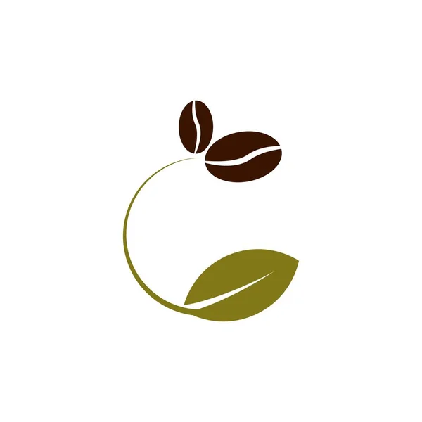 コーヒー豆の植物ベクトルデザインイラスト — ストックベクタ