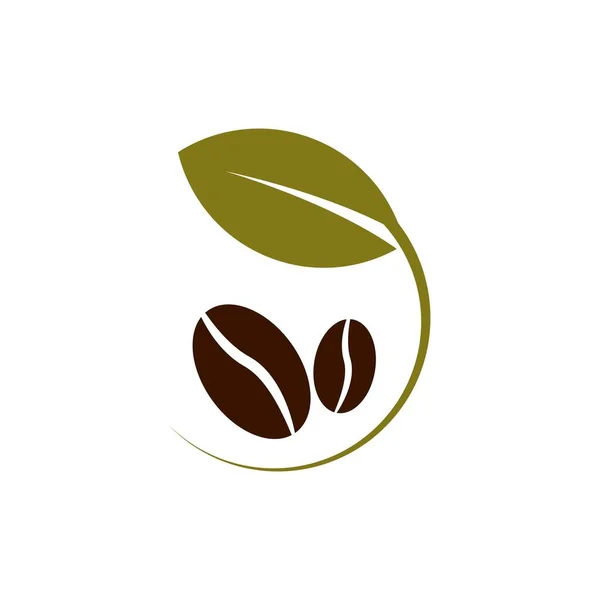 Café Granos Planta Vector Diseño Plantilla Ilustración — Vector de stock