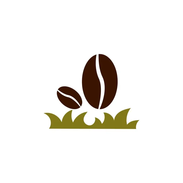 Καφέ Φασόλια Γρασίδι Διάνυσμα Πρότυπο Σχεδιασμού Εικονογράφηση — Διανυσματικό Αρχείο