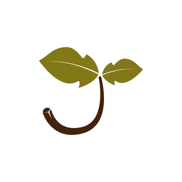 Plant Vector Ontwerp Template Illustratie — Stockvector