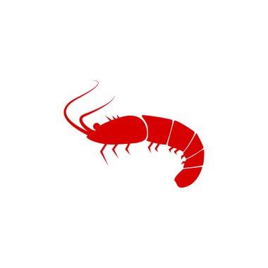 Karides vektör tasarım şablonu çizimi