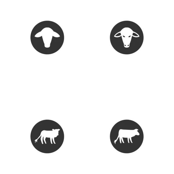 Cow Vector Design Template Illustration — Stock Vector
