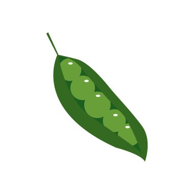 bezelye vektör tasarım şablonu çizimi