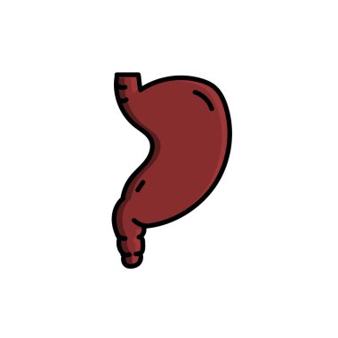 Mide vektör tasarım şablonu çizimi