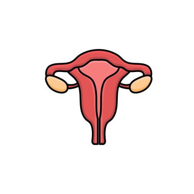 uterus vektör tasarım şablonu çizimi