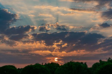 Bulutlar ve çalılıklarda güneşin yansımalarıyla dramatik bir gün batımı.