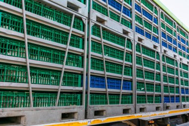 Tavukları çiftlikten mezbahaya kamyonla taşımak için kafesler