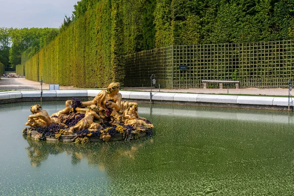 Versailles France August 2019 Bacchus Fountain Autumn Fountain Gardens Famous — Stock Photo, Image