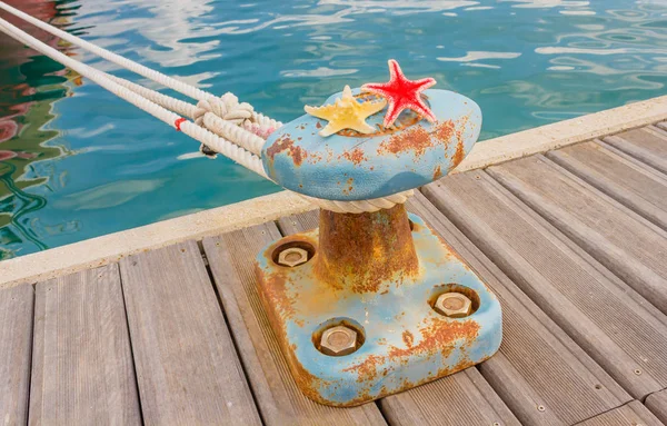 Dettaglio di un morso con due stelle marine e una corda per ormeggio al porto — Foto Stock