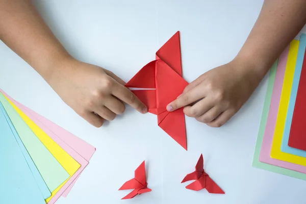 Beyaz arka plan üzerinde renkli kağıttan origami kelebek çocuk ellerin yaptığını. ders origami kelebek.