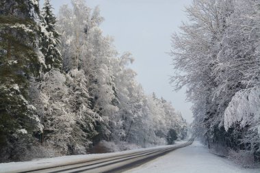 Kış yol. Kış manzarası. Bulutlu gün. Kış düşüş. Boğuk renkler. Siyah beyaz manzara. Kış orman. orman yolu.