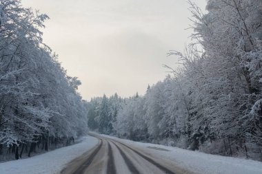 Kış yol. Kış manzarası. Bulutlu gün. Kış düşüş. Boğuk renkler. Siyah beyaz manzara. Kış orman. orman yolu.