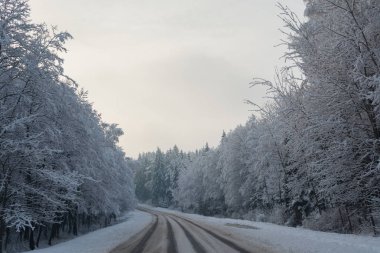 Kış yol. Kış manzarası. Bulutlu gün. Kış düşüş. Boğuk renkler. Siyah beyaz manzara. Kış orman. orman yolu.