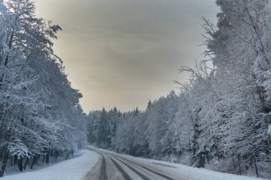 Kış yol. Kış manzarası. Bulutlu gün. Kış düşüş. Boğuk renkler. Siyah beyaz manzara. Kış orman. orman yolu.