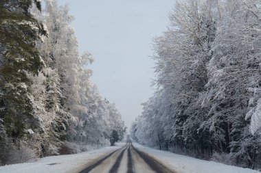 Kış yol. Kış manzarası. Bulutlu gün. Kış düşüş. Boğuk renkler. Siyah beyaz manzara. Kış orman. orman yolu.