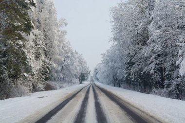 Kış yol. Kış manzarası. Bulutlu gün. Kış düşüş. Boğuk renkler. Siyah beyaz manzara. Kış orman. orman yolu.