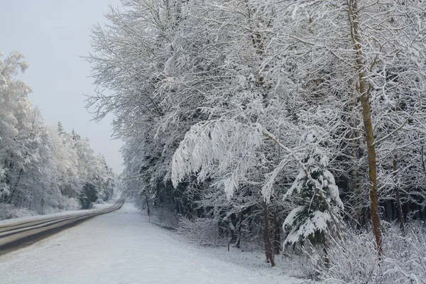 Kış Yol Kış Manzarası Bulutlu Gün Kış Düşüş Boğuk Renkler — Stok fotoğraf