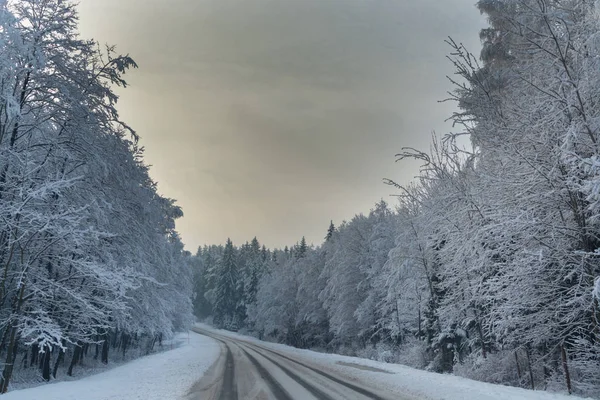 Kış yol. Kış manzarası. Bulutlu gün. Kış düşüş. Boğuk renkler. Siyah beyaz manzara. Kış orman. orman yolu.