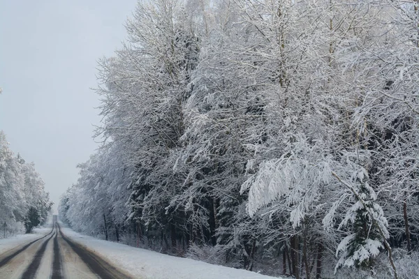 Kış Yol Kış Manzarası Bulutlu Gün Kış Düşüş Boğuk Renkler — Stok fotoğraf