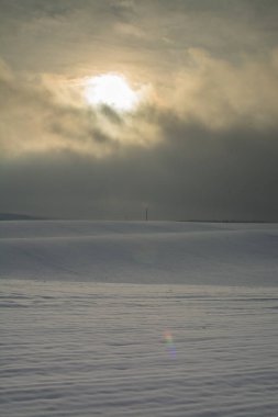 Kış manzarası. Bulutlu gün. Kış düşüş. Boğuk renkler. Siyah beyaz manzara. Kış orman.