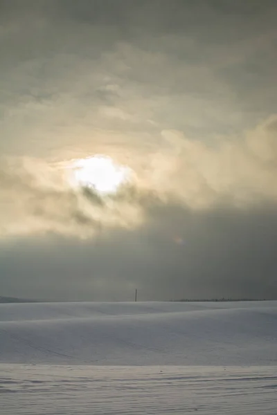 Kış manzarası. Bulutlu gün. Kış düşüş. Boğuk renkler. Siyah beyaz manzara. Kış orman.