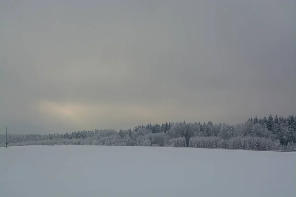 Зимний Пейзаж Облачный День Зимний Упадок Приглушенные Цвета Монохромный Пейзаж — стоковое фото