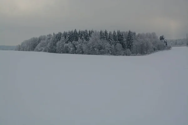 Winter Landscape Cloudy Day Winter Decline Muffled Colors Monochrome Landscape — Stock Photo, Image