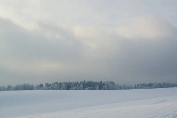 Kış Manzarası Bulutlu Gün Kış Düşüş Boğuk Renkler Siyah Beyaz — Stok fotoğraf