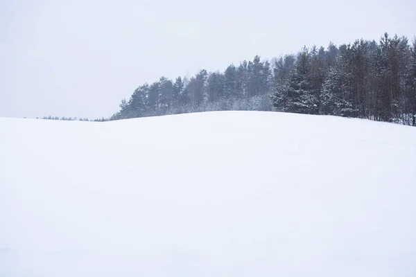 Kış Manzarası Bulutlu Bir Gün Kış Düşüşü Boğuk Renkler Tek — Stok fotoğraf