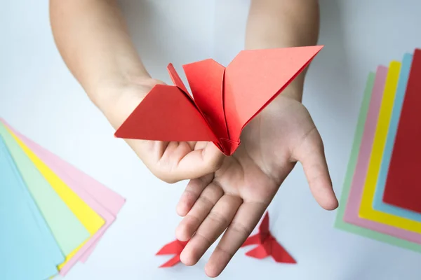 Beyaz Arka Plan Üzerinde Renkli Kağıttan Origami Kelebek Çocuk Ellerin Stok Fotoğraf