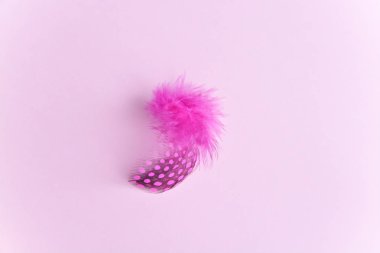 Bir tüy ile pembe arka plan.