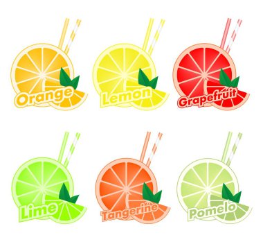 Narenciye renkli iki payet ile kesilmiş dilimleri ve portakal, limon, greyfurt, mandalina, limon ve pomelo, yaprak yeşil renkli kümesi. Taze meyve karışık. 