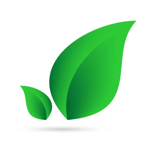 Ícone Eco Folhas Verdes Lado Lado Fundo Branco Com Sombra — Vetor de Stock