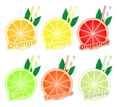 Narenciye renkli iki payet ile kesilmiş dilimleri ve portakal, limon, greyfurt, mandalina, limon ve pomelo, yaprak yeşil renkli kümesi. Taze meyve karışık. 