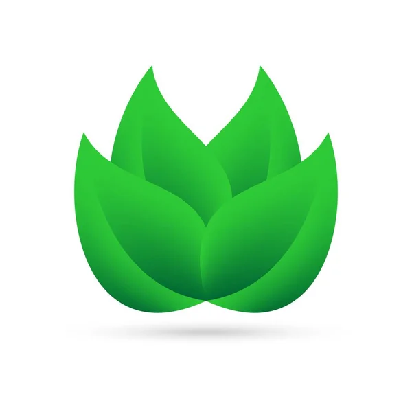 Eco Ikona Zelených Listů Povyšuji Bílém Pozadí Šedý Stín Dně — Stockový vektor