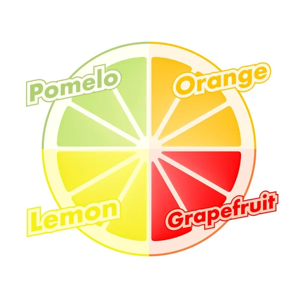 Renkli simge dört narenciye portakal, limon, greyfurt ve pomelo beyaz zemin üzerinde bir kesim oluşur. Sağlıklı meyve kavramı yemek, diyet yemek 