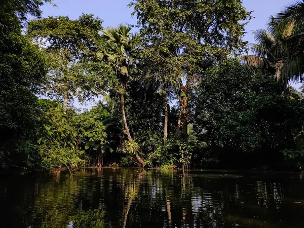 Ochtends Valt Schaduw Van Boom Grote Vijver — Stockfoto