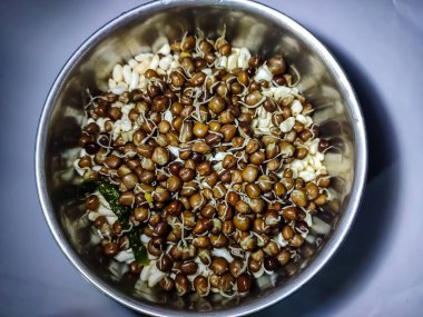 Vigna aconitifolia, Hindistan 'ın kurak ve yarı kurak bölgelerinde yetişen kuraklığa dayanıklı bir baklagildir. Genellikle fasulye, güve, matki, Türk gramı ya da çiğ taneleri olarak adlandırılır..