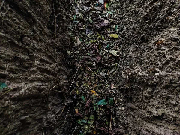 Dit Een Oude Afwateringsgreppel Die Zomer Opdroogt Zijn Veel Droge — Stockfoto