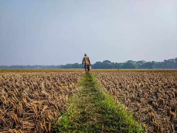 Fazendeiro Vai Embora Uma Estrada Campo Com Saco Comida Manhã Fotos De Bancos De Imagens Sem Royalties