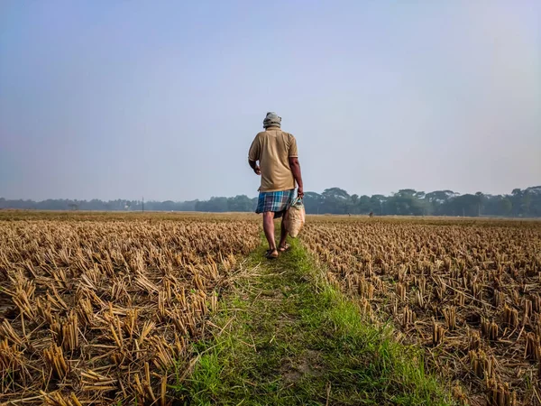 Fazendeiro Vai Embora Uma Estrada Campo Com Saco Comida Manhã Imagens De Bancos De Imagens Sem Royalties